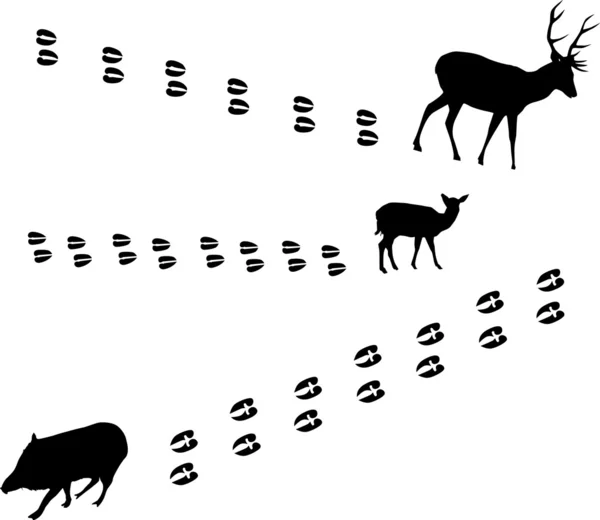 Deer animal hoof print line icon image Royalty Free Vector