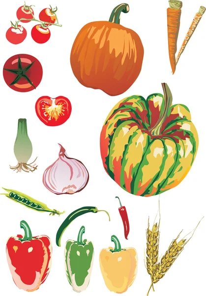Kleur groenten illustratie — Stockvector