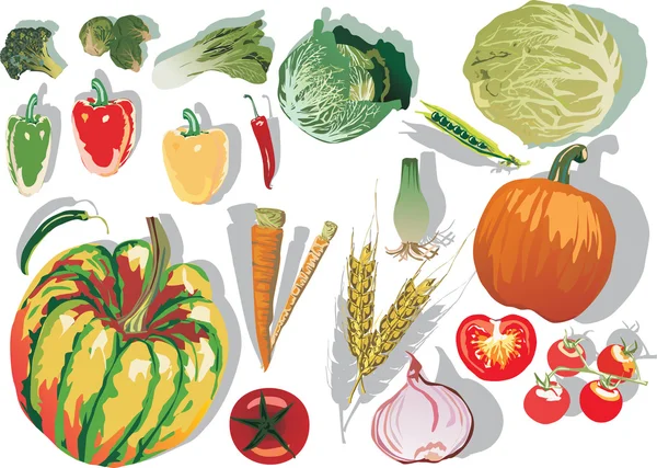 Set di verdure diverse — Vettoriale Stock