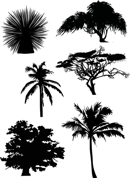 Seis siluetas de árboles — Archivo Imágenes Vectoriales