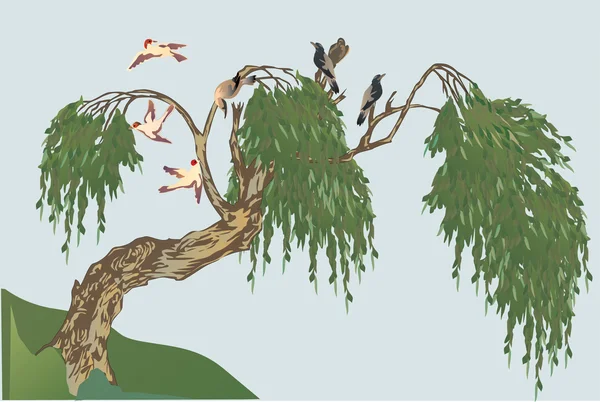 Baum und Vögel Illustration — Stockvektor