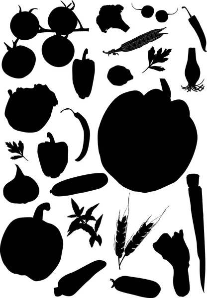 Овощи силуэты на белом — стоковый вектор