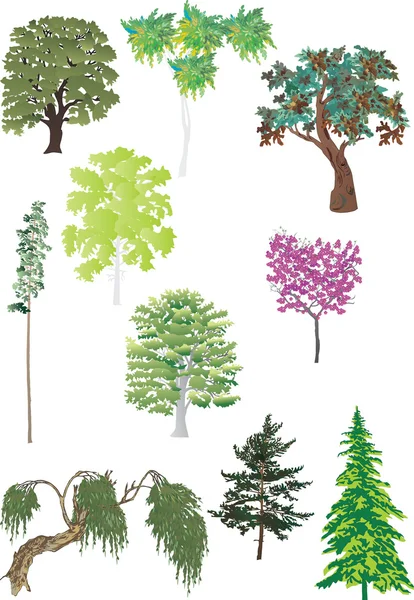 緑の木々 のセット — ストックベクタ
