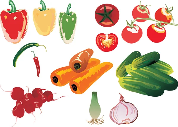 Conjunto de verduras de color — Archivo Imágenes Vectoriales