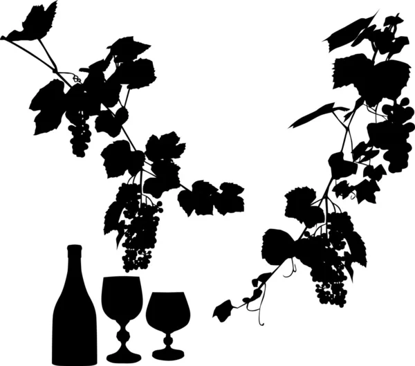 Bottle, vine and glass — Stock Vector