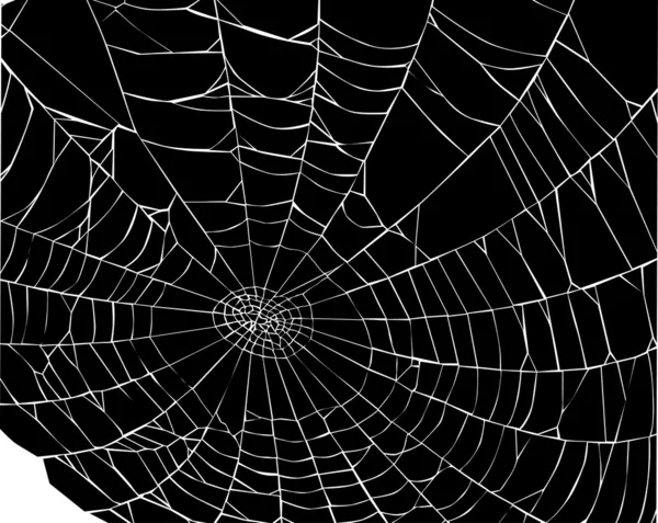 Vit web bakgrund — Stock vektor