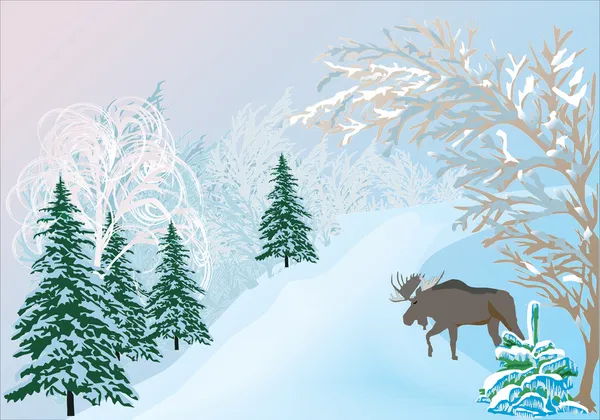 Elanden in winter forest — Stockvector