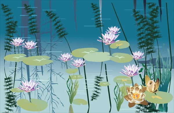 Water lily landscape — Stock Vector