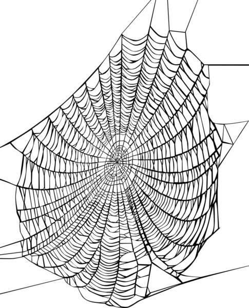 Tela de araña negra sobre blanco — Vector de stock