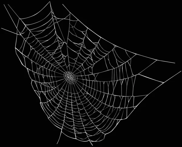 Tela de araña blanca — Vector de stock