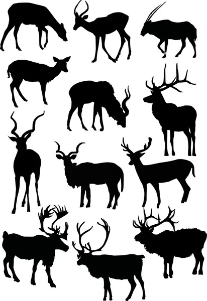Twelve horned animal silhouettes — Stock Vector