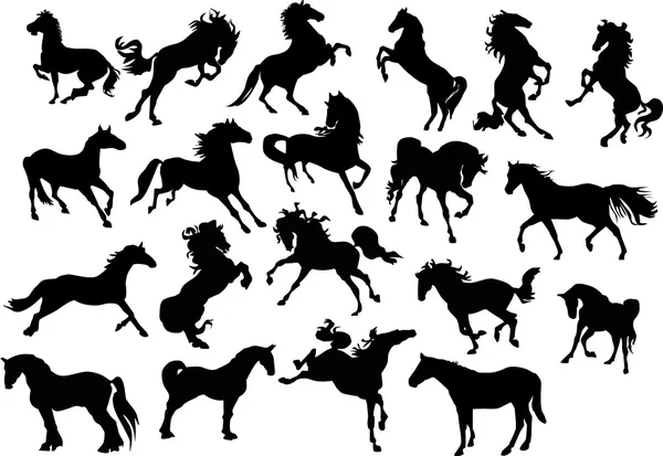 Vingt silhouettes de chevaux — Image vectorielle