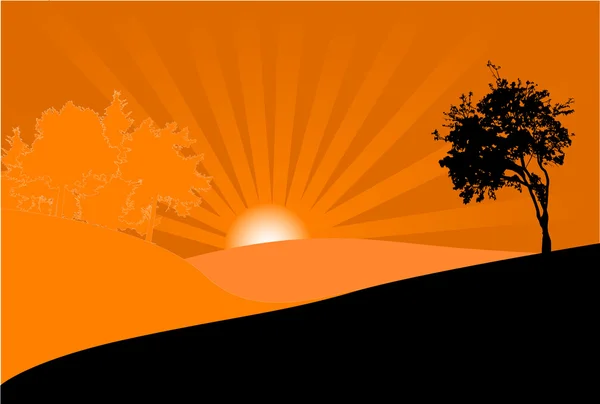 Litet träd vid solnedgången — Stock vektor