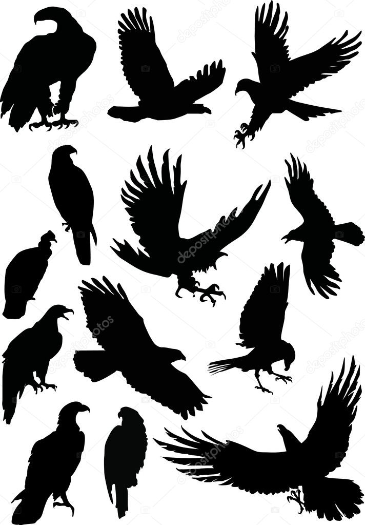 Siluetas de águila imágenes de stock de arte vectorial | Depositphotos