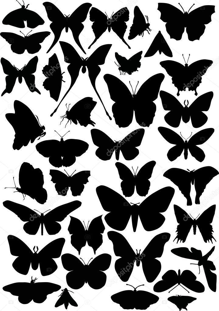 thirty six butterfly silhouettes