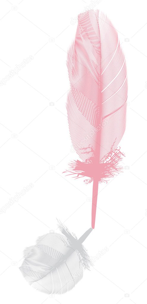 pink feather and grey shadow