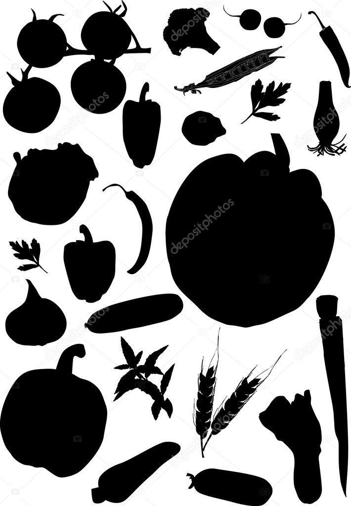 vegetables silhouettes on white