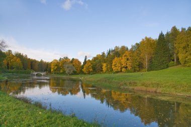 Autumn landscape with bridge clipart