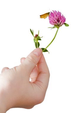 Woman hand holding clower with butterfly clipart