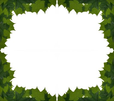 Maple leaves frame