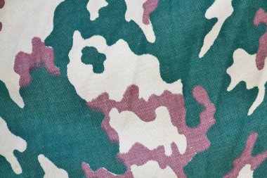 Orman askeri geçmişi