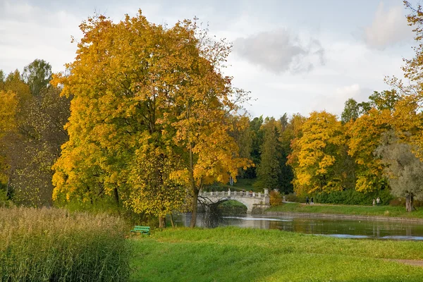 Most i jesień klon — Zdjęcie stockowe