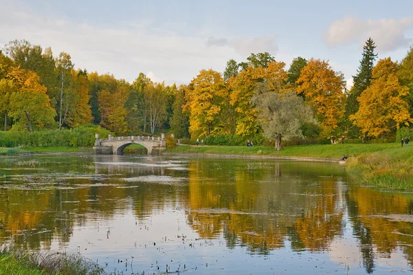 Podzim krajina s mostem — Stock fotografie