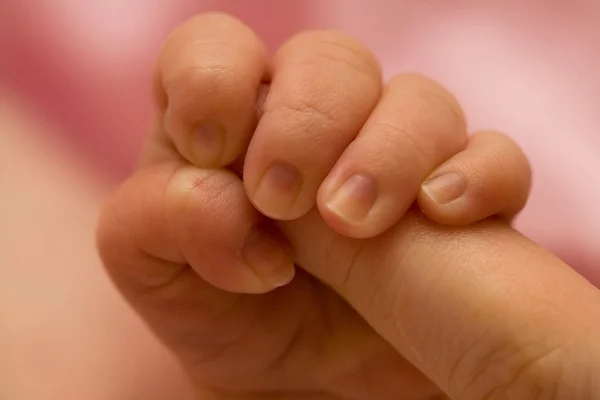 Bebé mano sosteniendo dedo — Foto de Stock