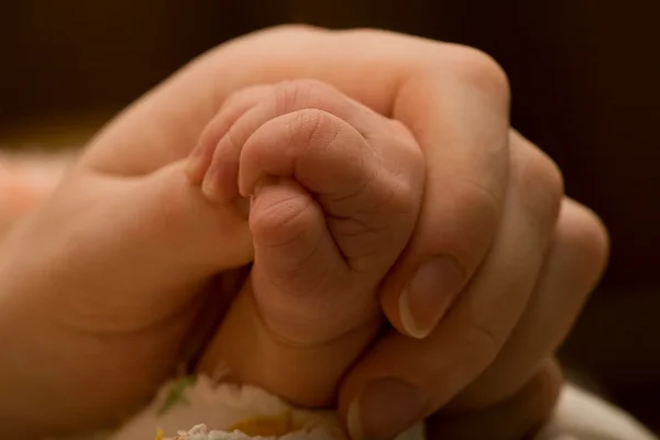 Sujetando la mano materna — Foto de Stock