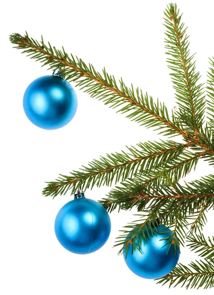Christmas tree branch with blue decoration — Stock Photo, Image