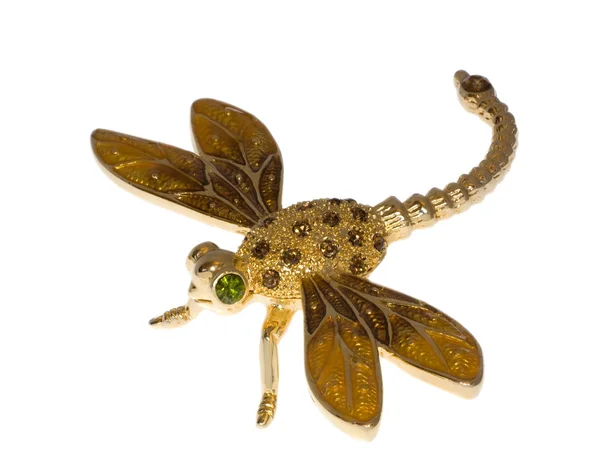 Dragonfly χρυσό κόσμημα — Φωτογραφία Αρχείου