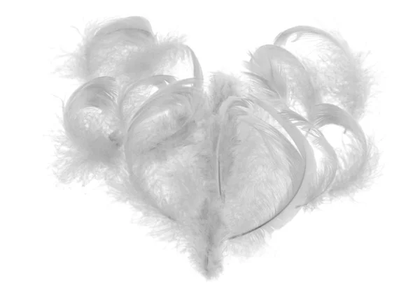 Light feather heart — Stock Photo, Image