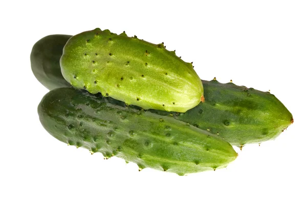Három zöld uborka — Stock Fotó