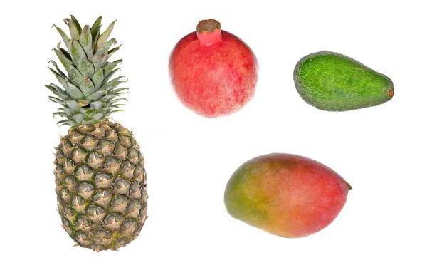 Tropical fruits collection — Stock Photo, Image