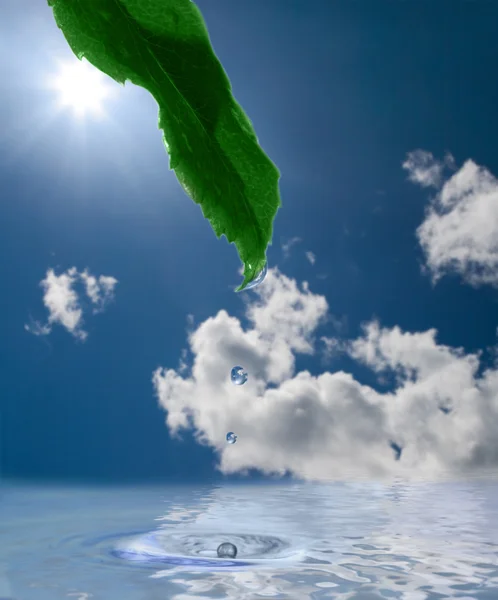 Droppar, solen och himlen — Stockfoto