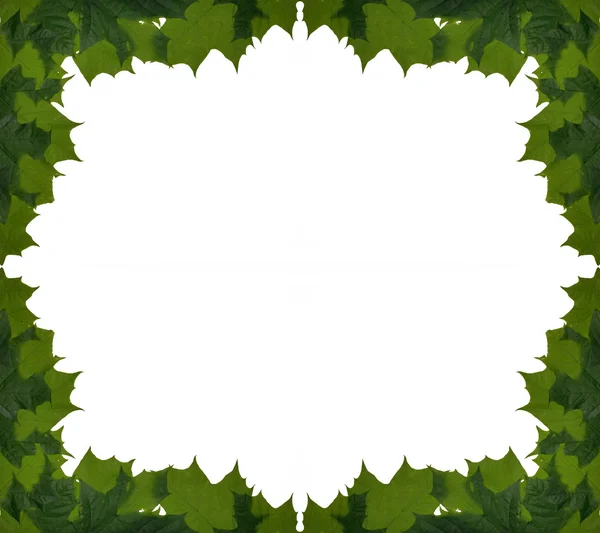 Φύλλα σφένδαμου πλαίσιο — Φωτογραφία Αρχείου