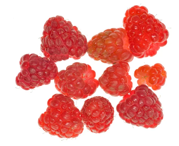 Group of red ripe raspberries — Stock Photo, Image