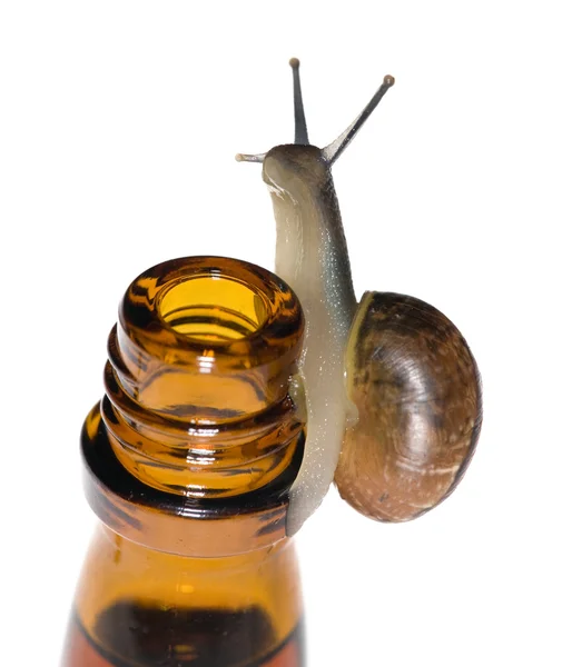 瓶子上的蜗牛σαλιγκάρι-την μπουκάλι — Φωτογραφία Αρχείου