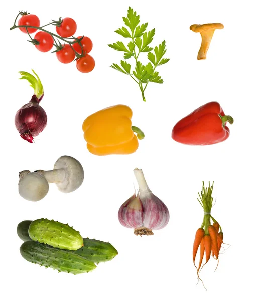 Olika grönsaker samling — Stockfoto