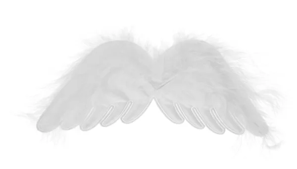 Licht grijs vleugels op wit — Stockfoto