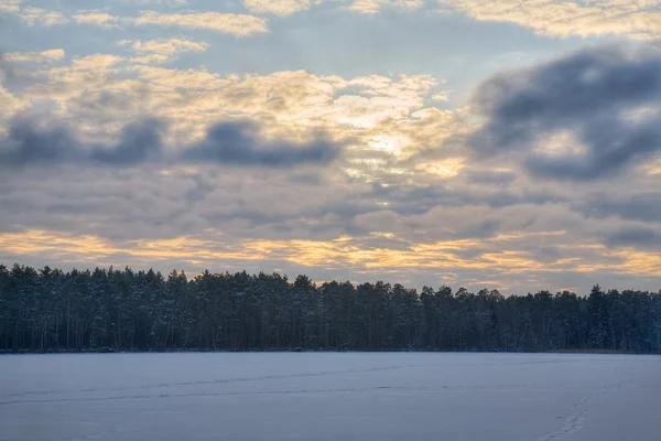 Puesta de sol en bosque de pino nieve —  Fotos de Stock