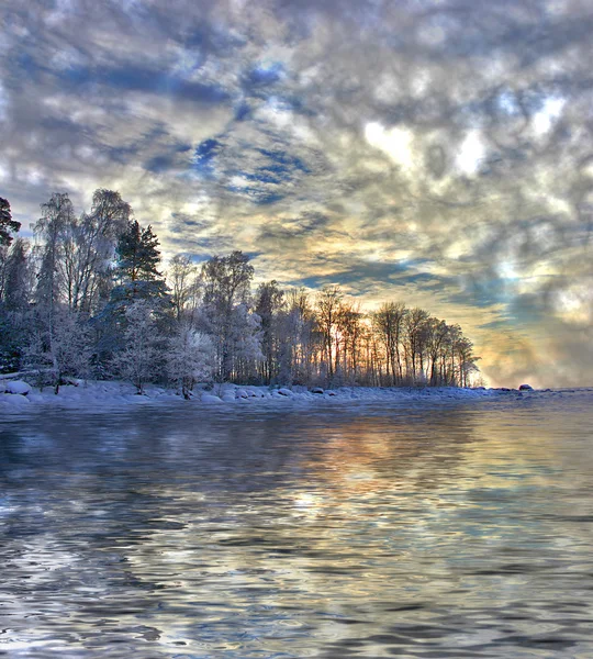 Floresta de bétula de neve perto do mar — Fotografia de Stock