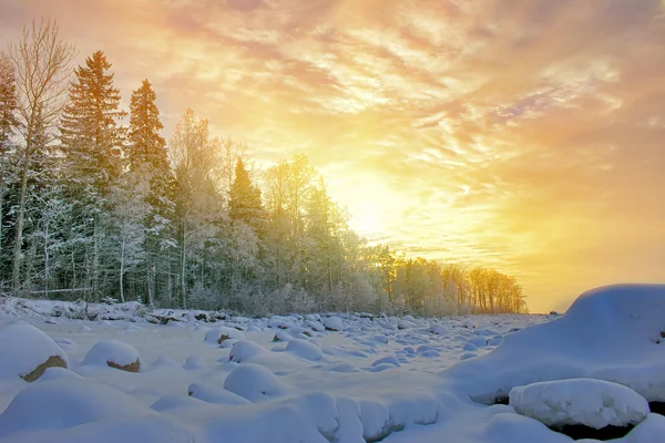 Winterwald und strahlender Sonnenuntergang — Stockfoto