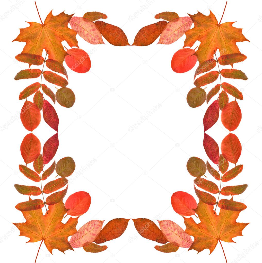 Red autumn leaves frame — Stock Photo © Dr.PAS 6415100