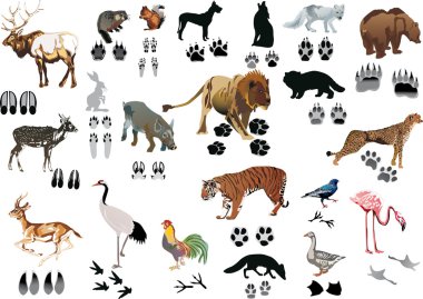 color animals and tracks clipart