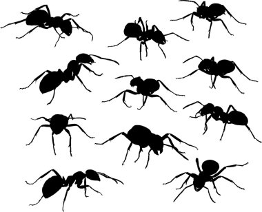 eleven black ants clipart