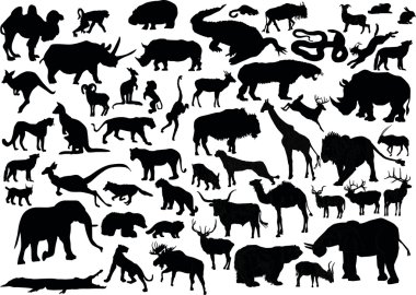 huge set of animals clipart