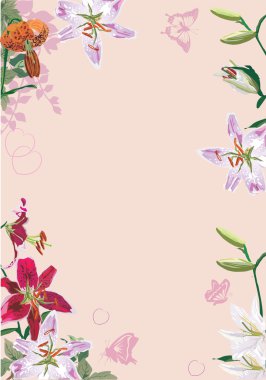 lily flowers frame illustration on pink clipart