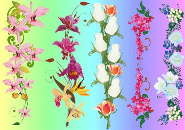 floral strips collection clipart