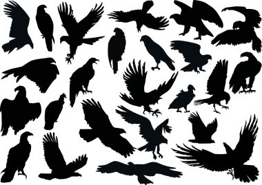 twenty four eagle silhouettes clipart